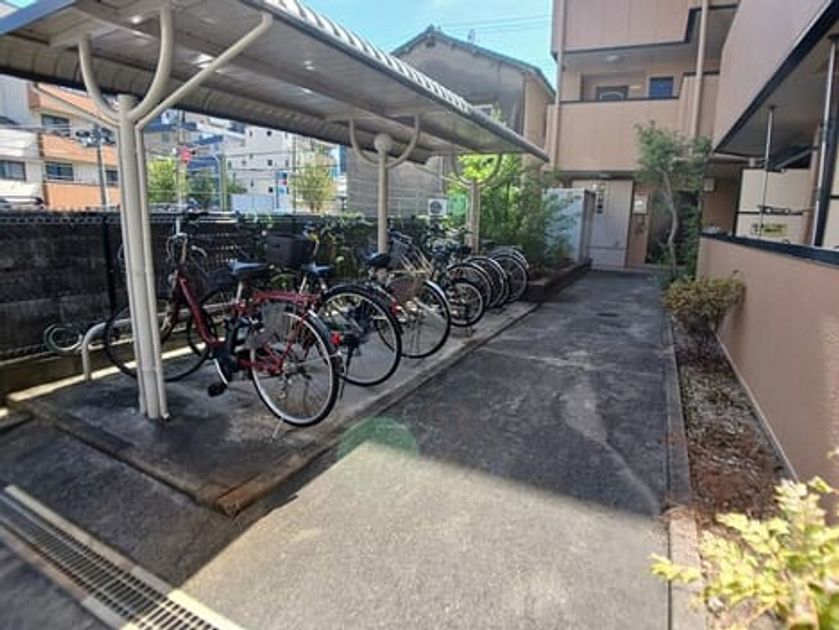 Naikan11 20251008000000 945x630