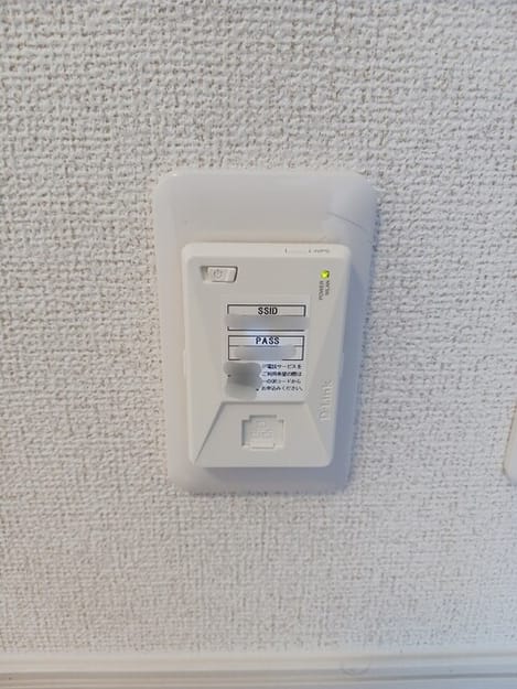 Naikan11 20260519000000