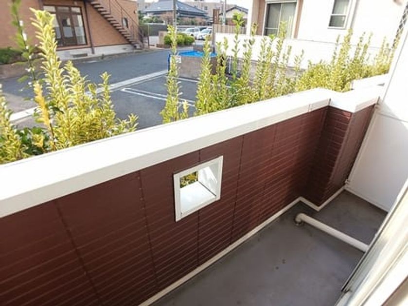 Naikan12 20251208000000 945x630