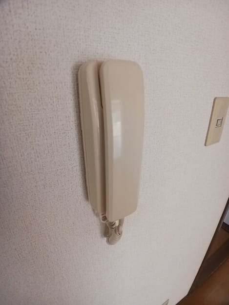 Naikan8 20260521000000
