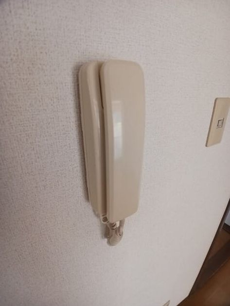 Naikan8 20260521000000 945x630
