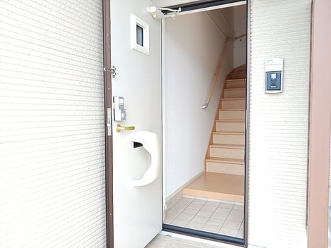 Naikan8 20260701000000
