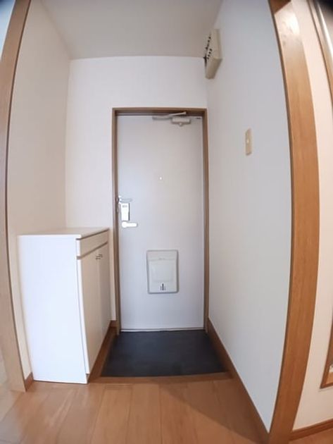 Naikan11 20250212000000 945x630
