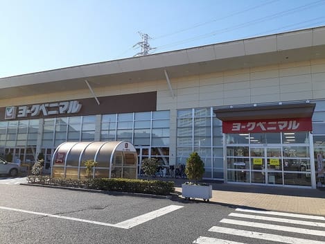 Naikan14 20260818000000