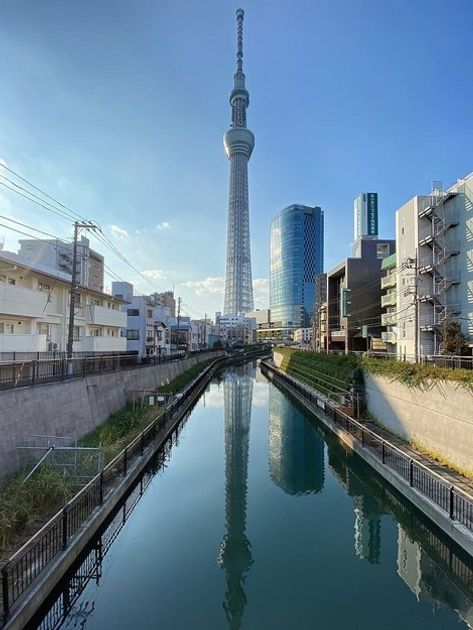 Naikan15 20221010141317 945x630