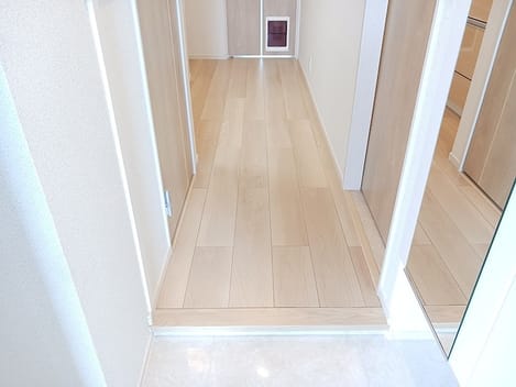 Naikan8 20260916000000