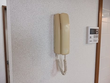 Naikan10 20260803000000