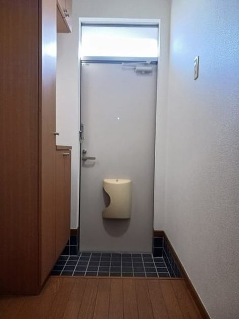 Naikan11 20241227000000 945x630