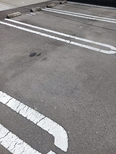 Naikan11 20260727000000 945x630