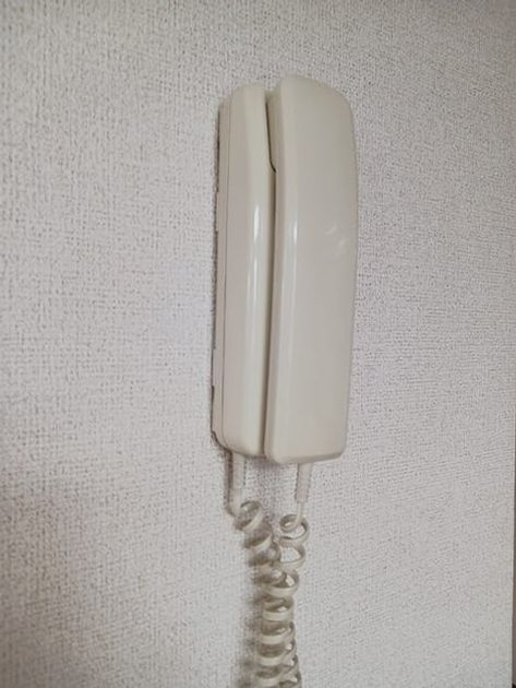 Naikan10 20260702000000 945x630