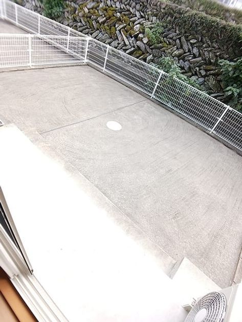 Naikan10 20261020000000 945x630