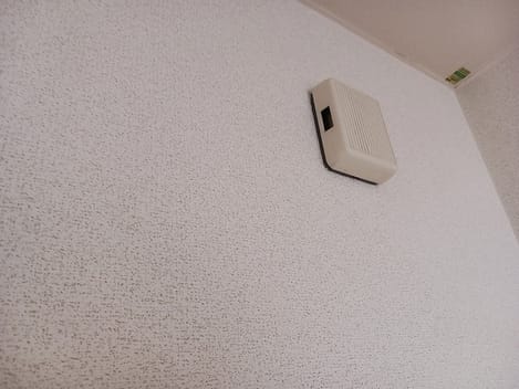 Naikan10 20260728000000