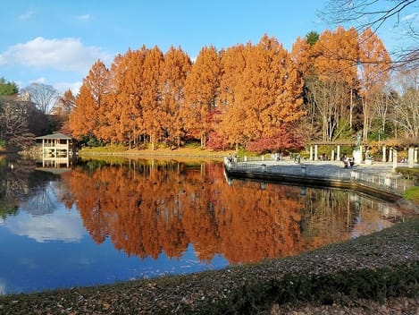 Naikan16 20221221000000