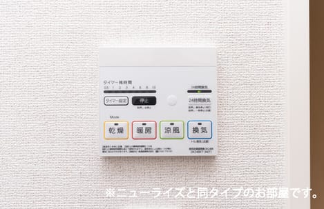 Naikan11 20260603000000