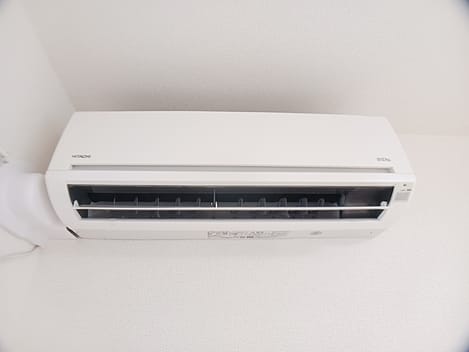 Naikan8 20260701000000
