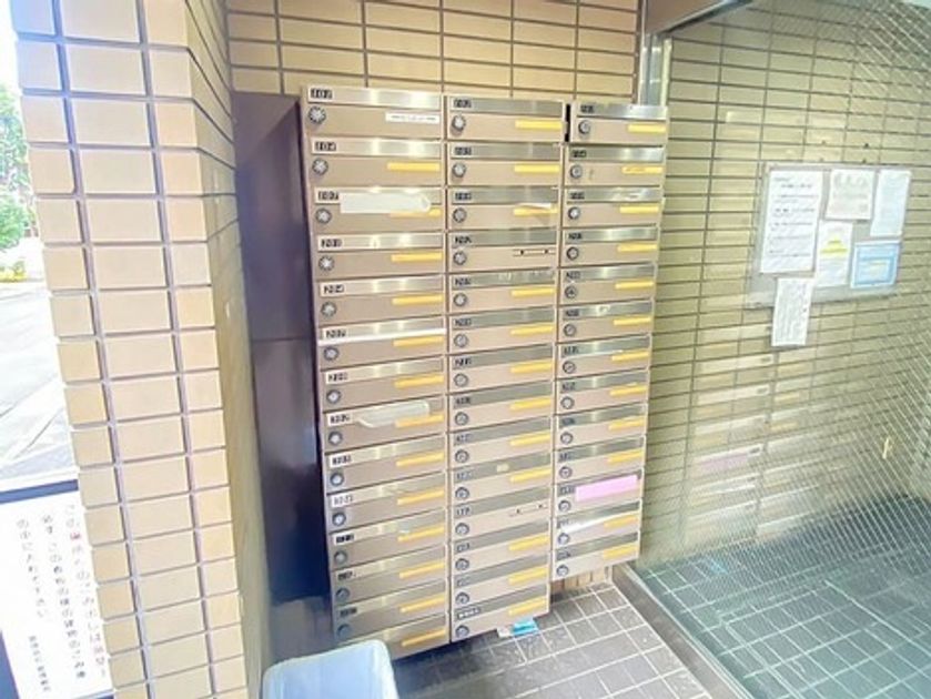 Naikan12 20260617171756 945x630