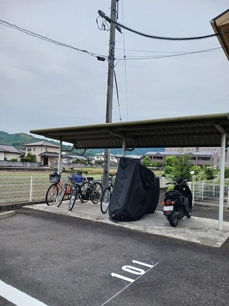 Naikan10 20250526000000