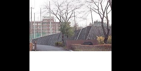 Naikan18 20260617000000