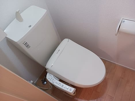 Naikan6 20260902000000