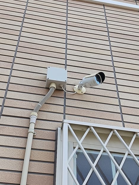 Naikan11 20260924000000