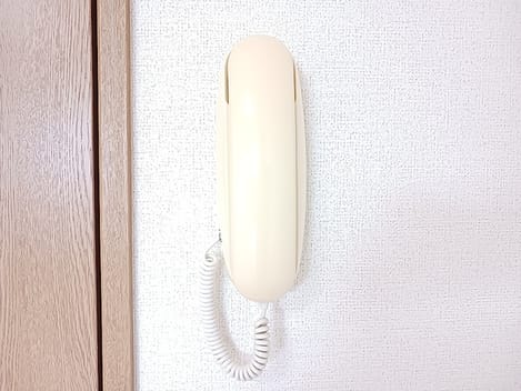 Naikan10 20260904000000