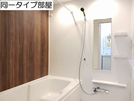 Naikan3 20260526000000