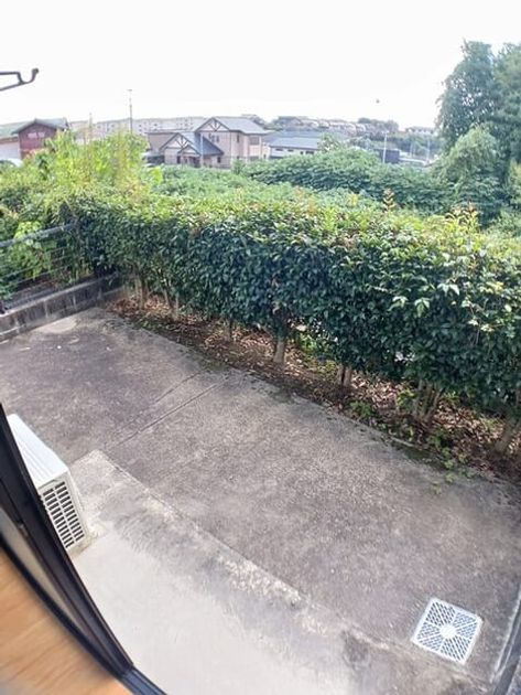 Naikan12 20261006000000 945x630