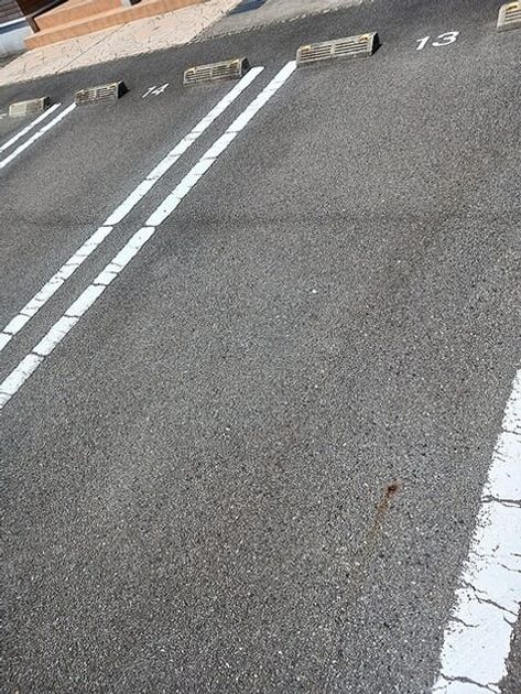 Naikan11 20260824000000 945x630