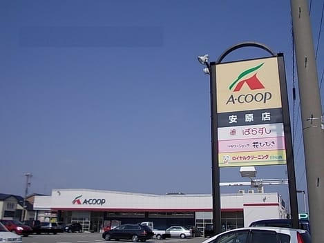 Naikan15 20260129000000