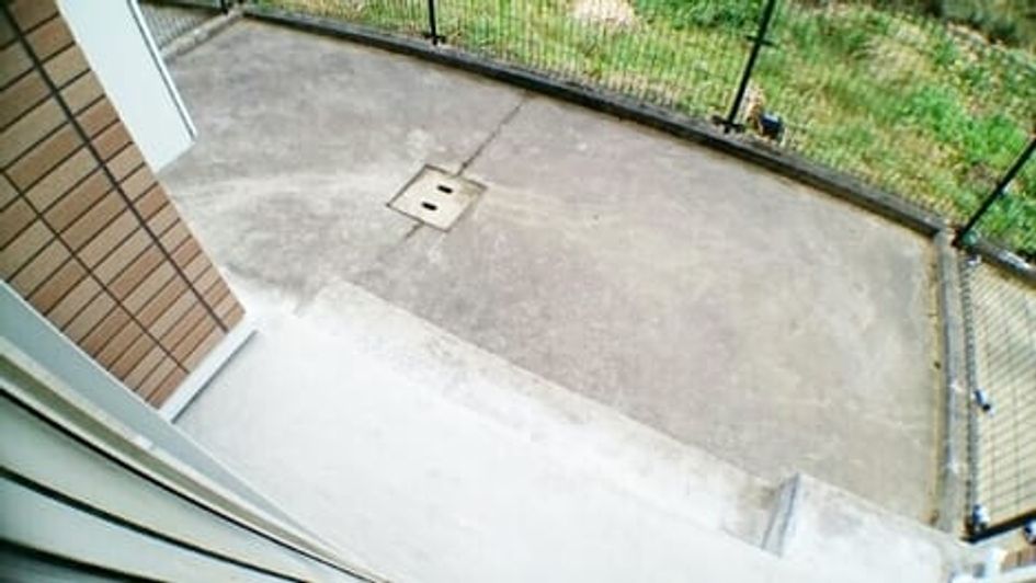 Naikan7 20200217000000 945x630