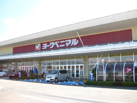 Naikan16 20210513000000