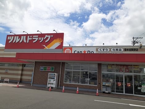 Naikan17 20241204000000
