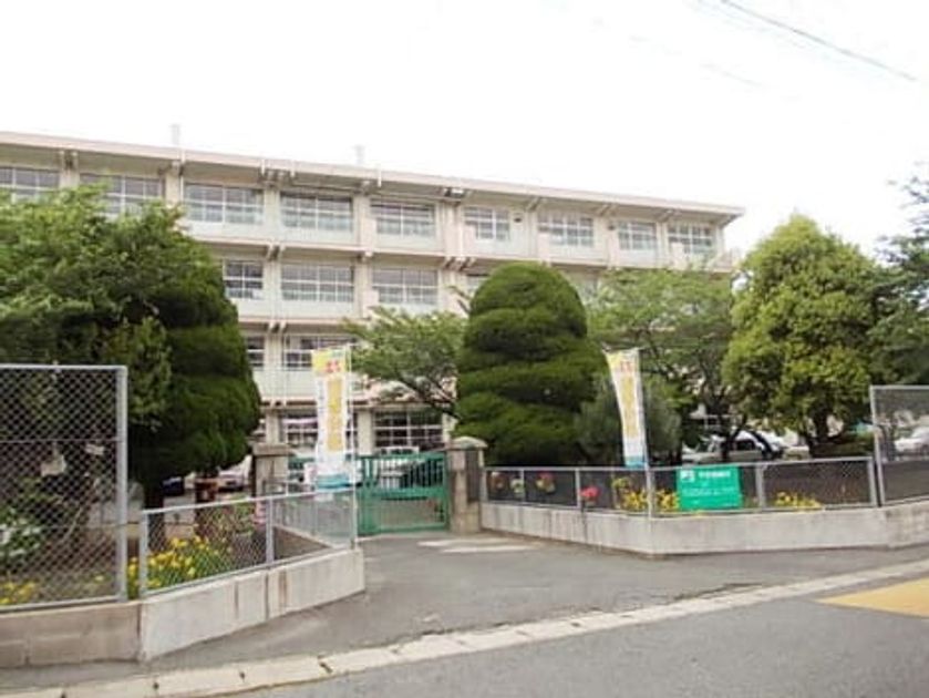 Naikan18 20200203000000 945x630