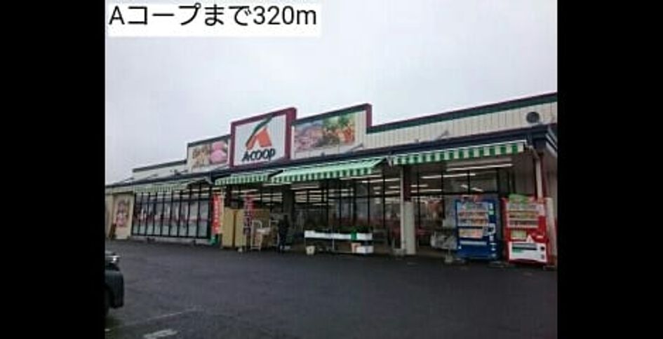 Naikan13 20190110000000 945x630