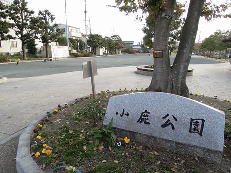 Naikan13 20210215000000