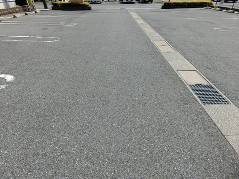 Naikan11 20210329000000 945x630