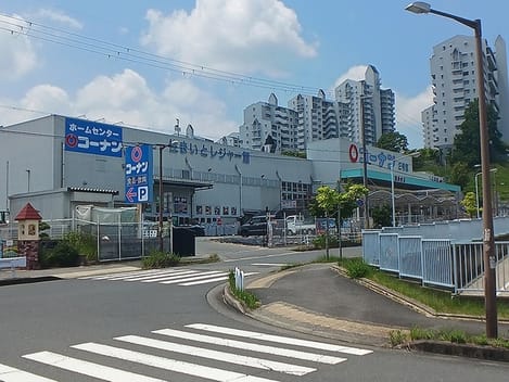 Naikan16 20260803000000