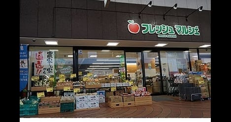 Naikan13 20210421000000