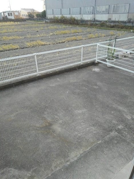 Naikan12 20201211000000