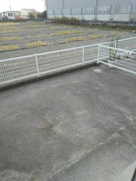 Naikan12 20201211000000 945x630
