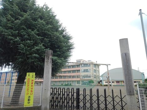 Naikan13 20260828000000