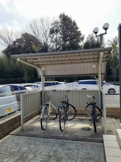 Naikan11 20250703000000