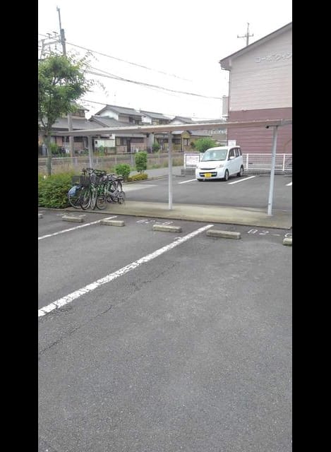 Naikan11 20201016000000