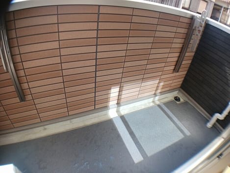 Naikan8 20250220000000