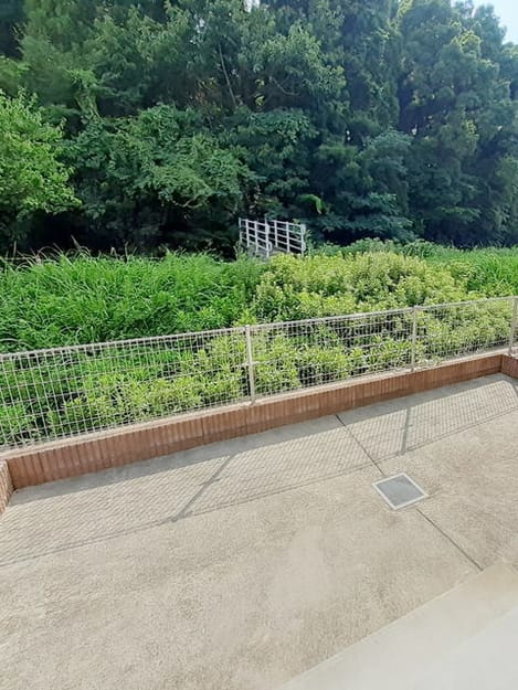 Naikan9 20260904000000