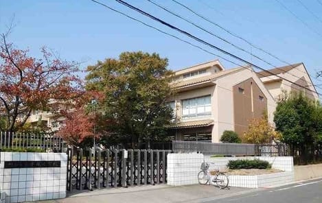 Naikan13 20250521000000