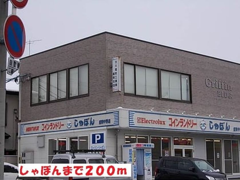 Naikan17 20140123000000 945x630