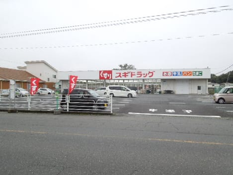 Naikan15 20260804000000