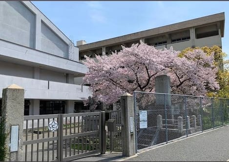 Naikan13 20260618000000
