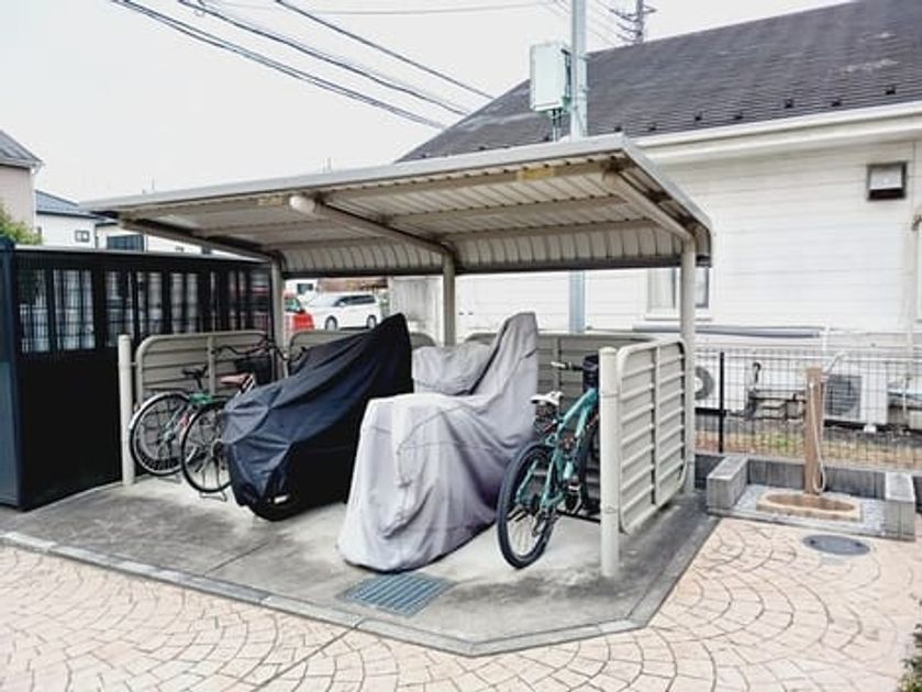 Naikan10 20251202000000 945x630
